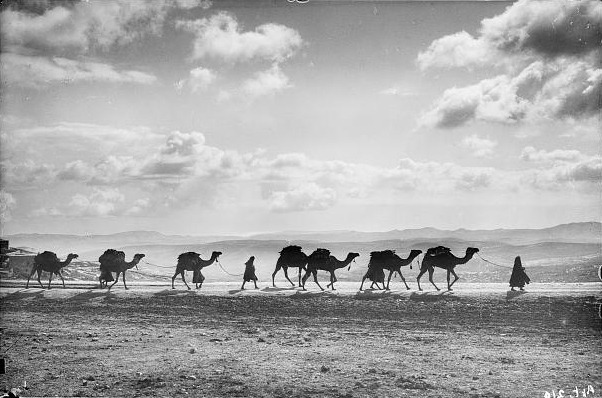 Caravan. Photo credit/copyright.